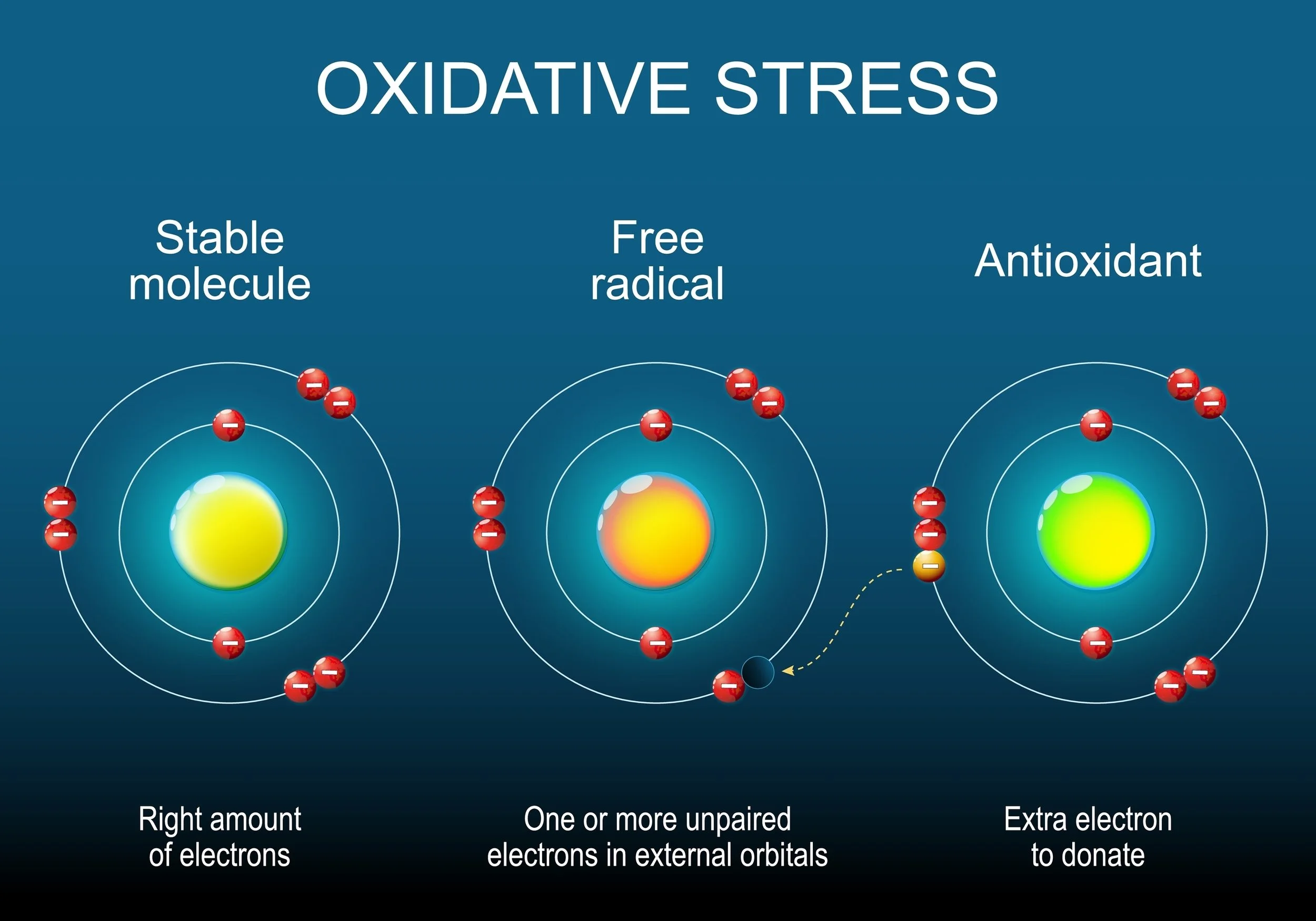 oxidative stress